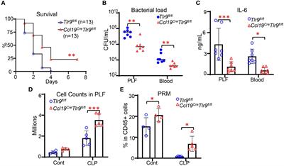 Activation of TLR9 signaling suppresses the immunomodulating functions of CD55lo fibroblastic reticular cells during bacterial peritonitis
